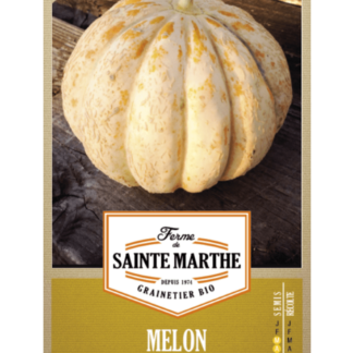 Melon Délice de la Table