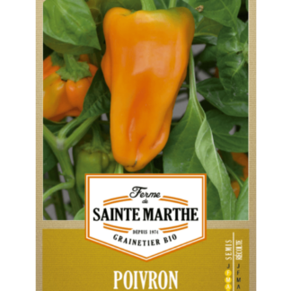 Poivron Petit Marseillais