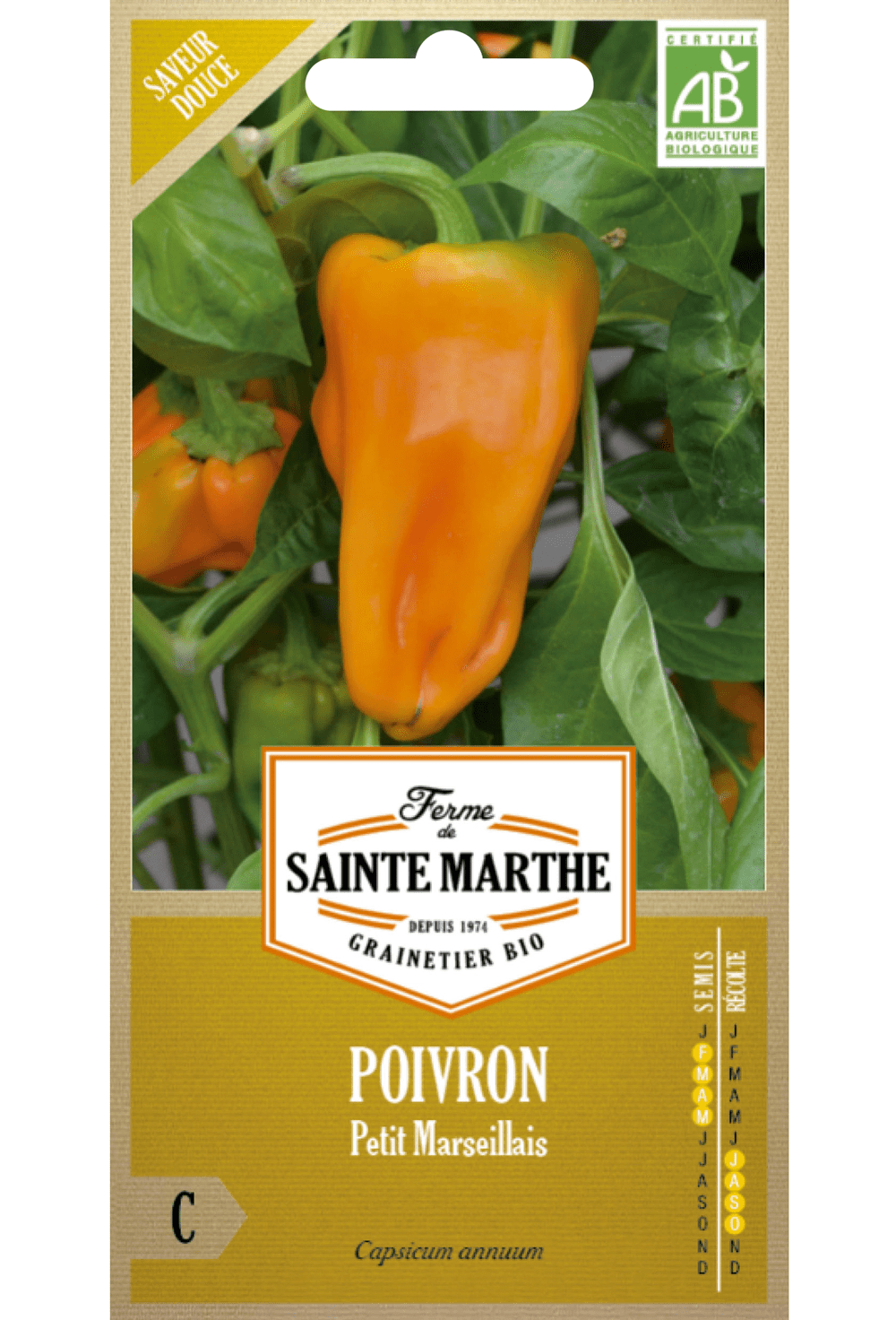 Poivron Petit Marseillais