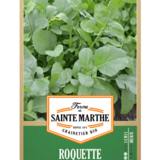 Roquette Cultivée