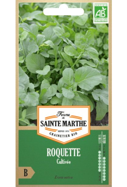 Roquette Cultivée