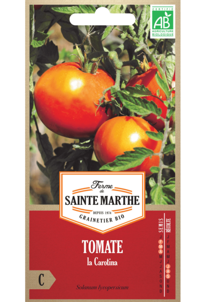 Tomate la Carotina