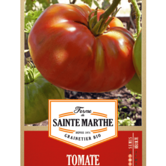 Tomate Beefsteak