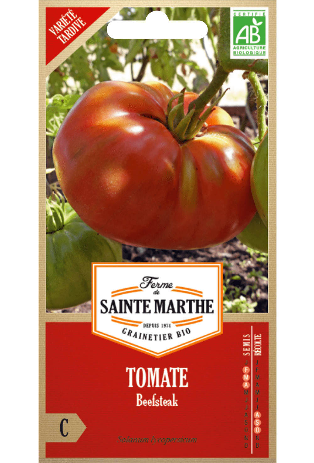 Tomate Beefsteak