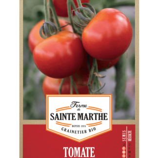 Tomate Cerise