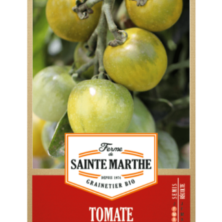 Tomate Green Grape