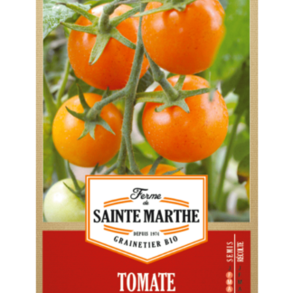 Tomate Orange Bourgoin