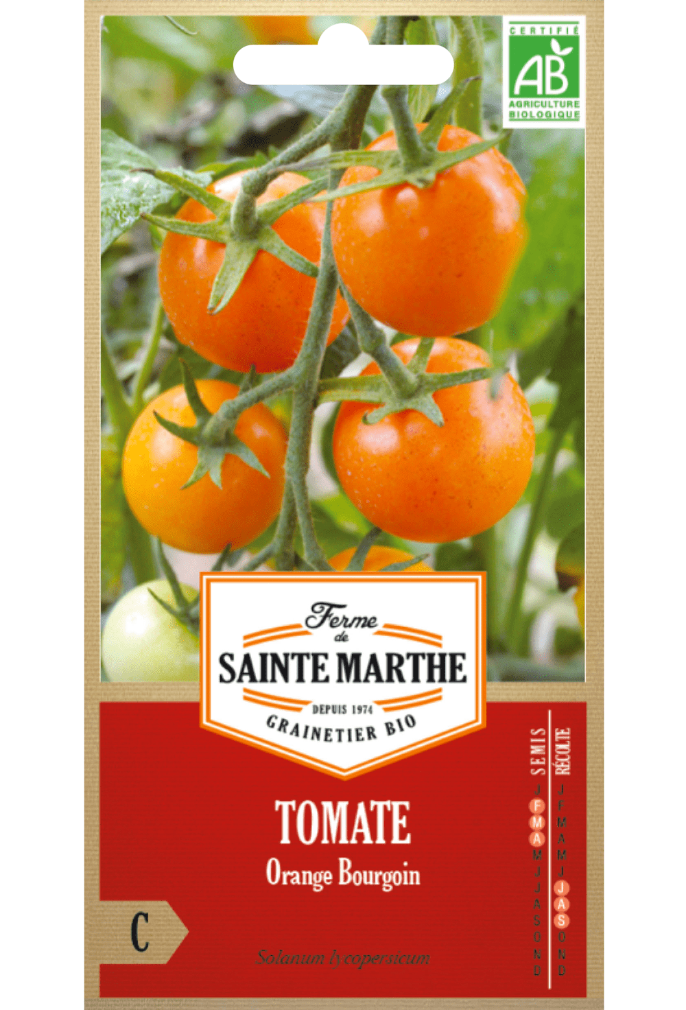 Tomate Orange Bourgoin