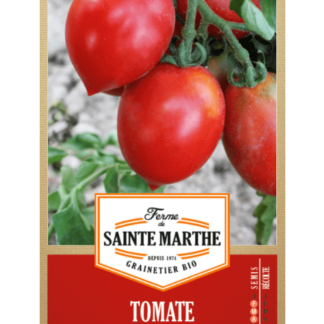 Tomate Petit Coeur de Boeuf