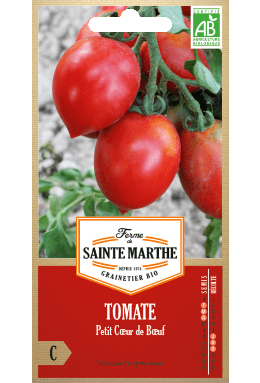 Tomate Petit Coeur de Boeuf