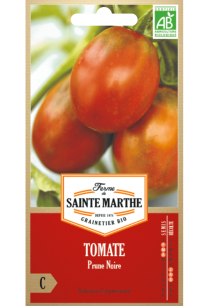 Tomate Prune Noire