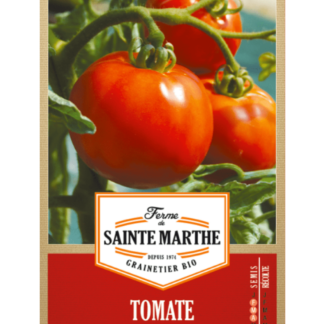 Tomate Reine de Sainte Marthe