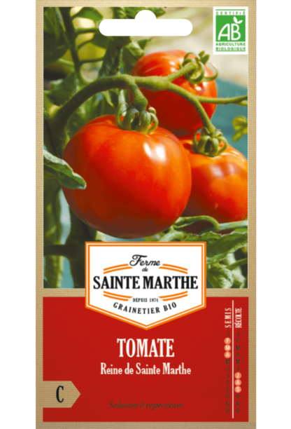 Tomate Reine de Sainte Marthe