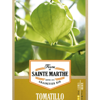 Tomatillo du Mexique