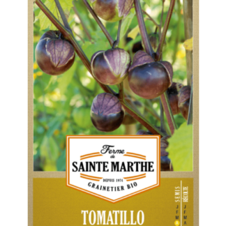 Tomatillo Violet