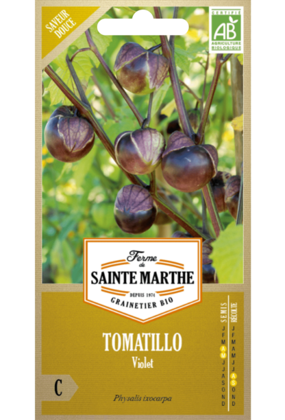 Tomatillo Violet