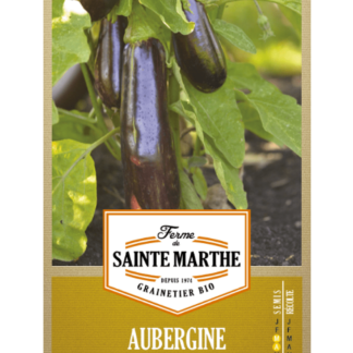 Aubergine de Barbentane