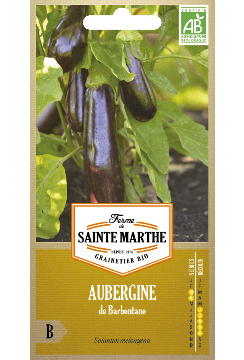 Aubergine de Barbentane