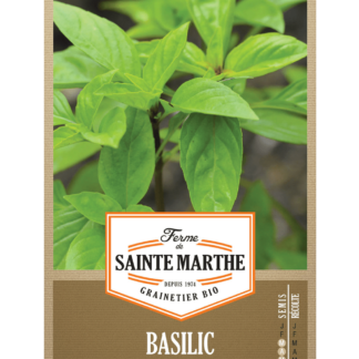 Basilic Cannelle