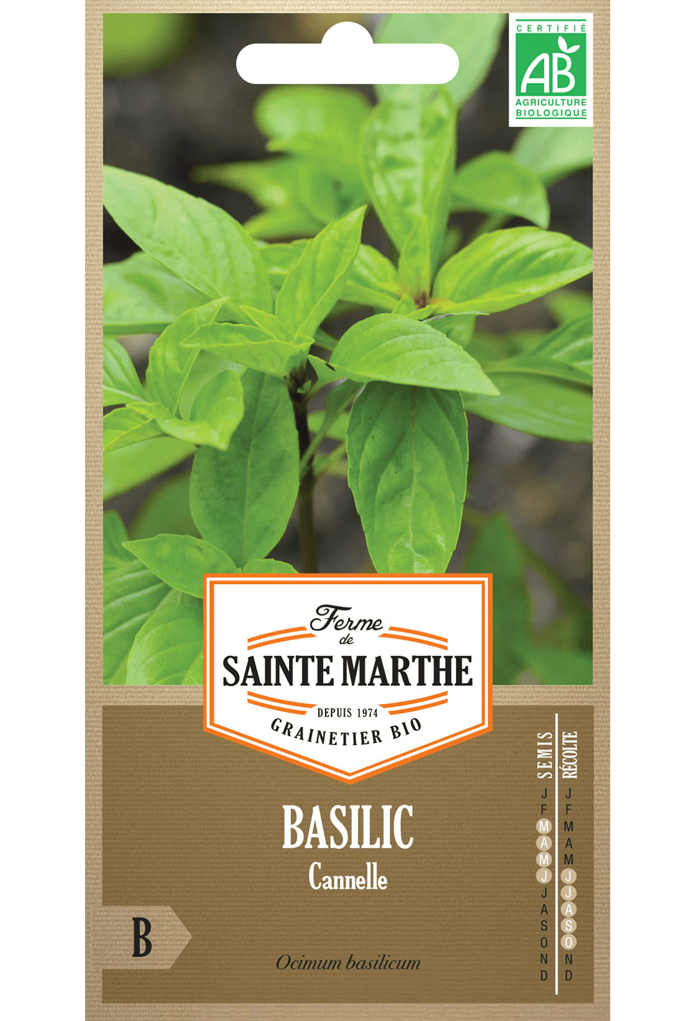 Basilic Cannelle