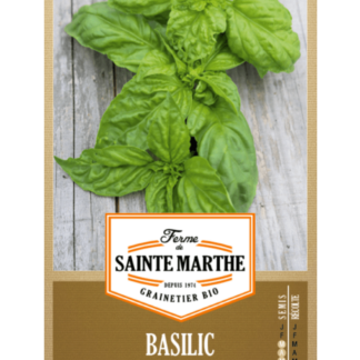 Basilic Géant Monstrueux Mammouth