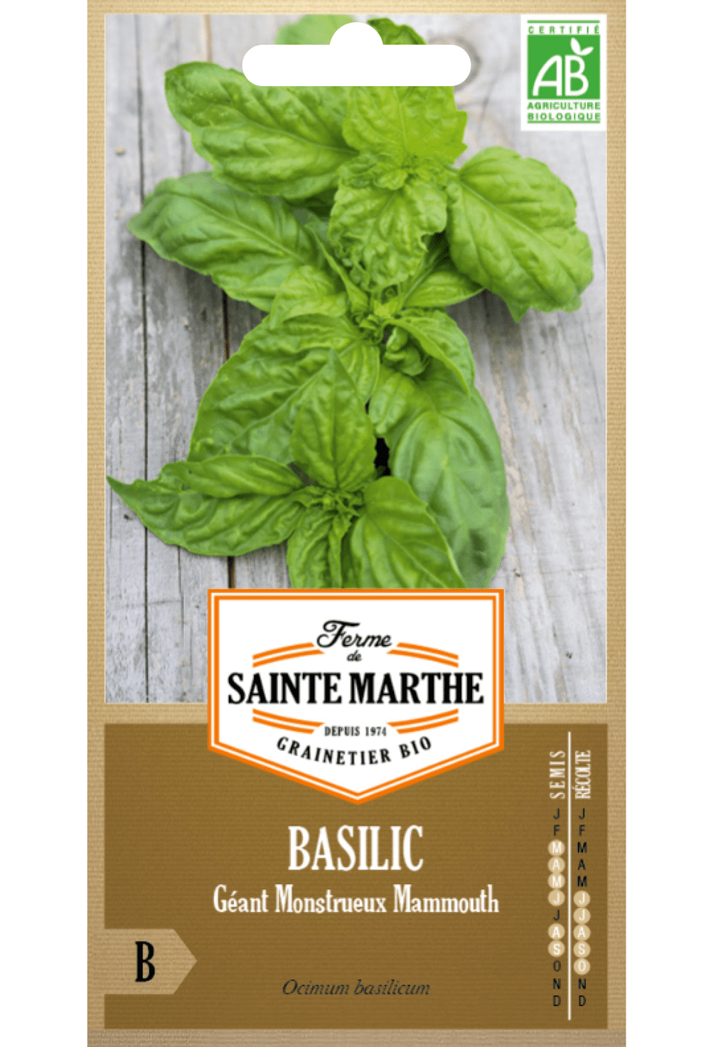 Basilic Géant Monstrueux Mammouth