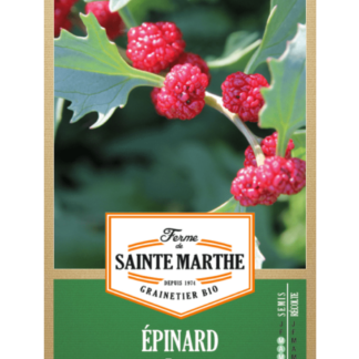 Épinard Fraise