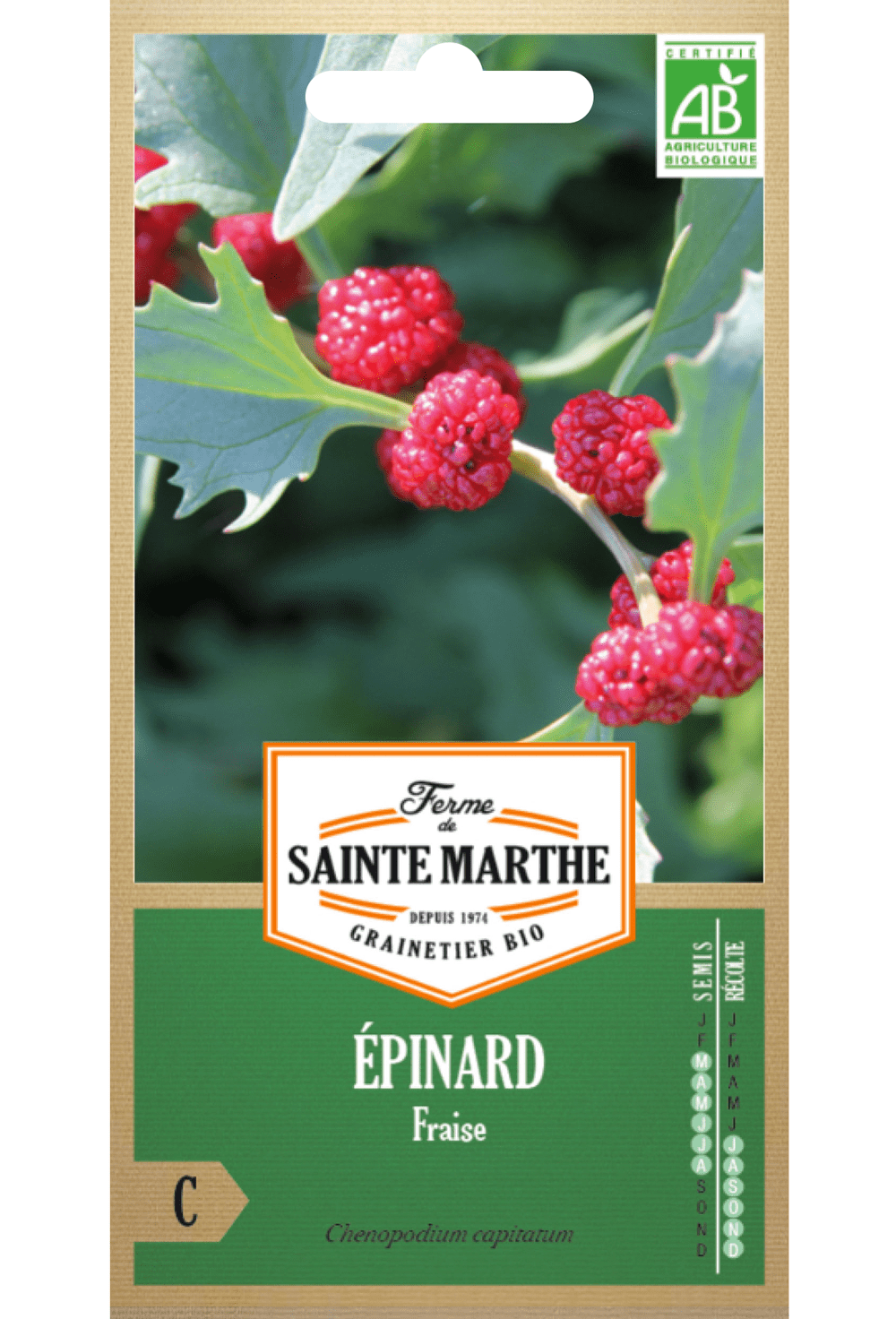 Épinard Fraise