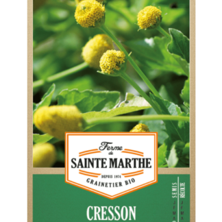 Cresson de Para Jaune Bredy Mafana