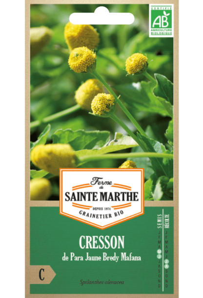 Cresson de Para Jaune Bredy Mafana