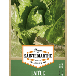 Laitue Romaine d'Hiver de Sainte-Marthe