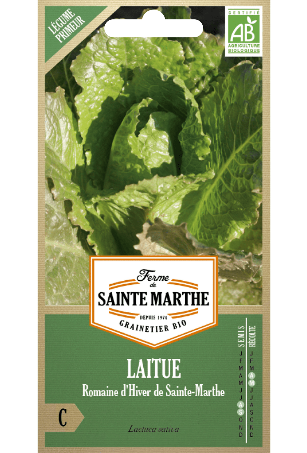 Laitue Romaine d'Hiver de Sainte-Marthe