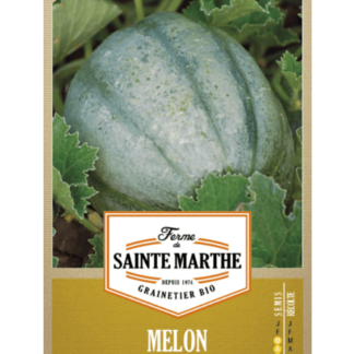 Melon Ancien Vieille France