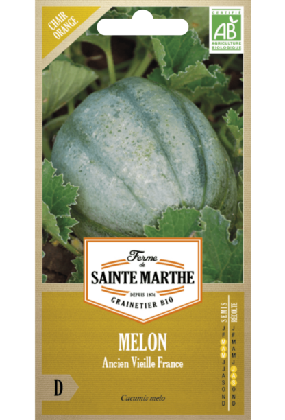 Melon Ancien Vieille France