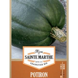 Potiron Courge du Pérou