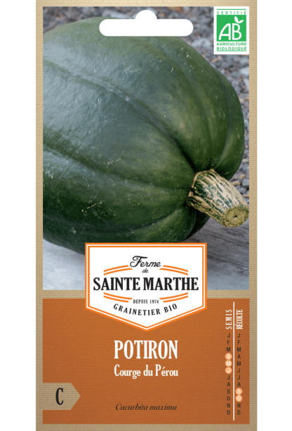 Potiron Courge du Pérou