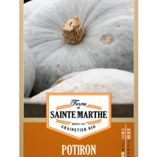 Potiron Bleu de Hongrie