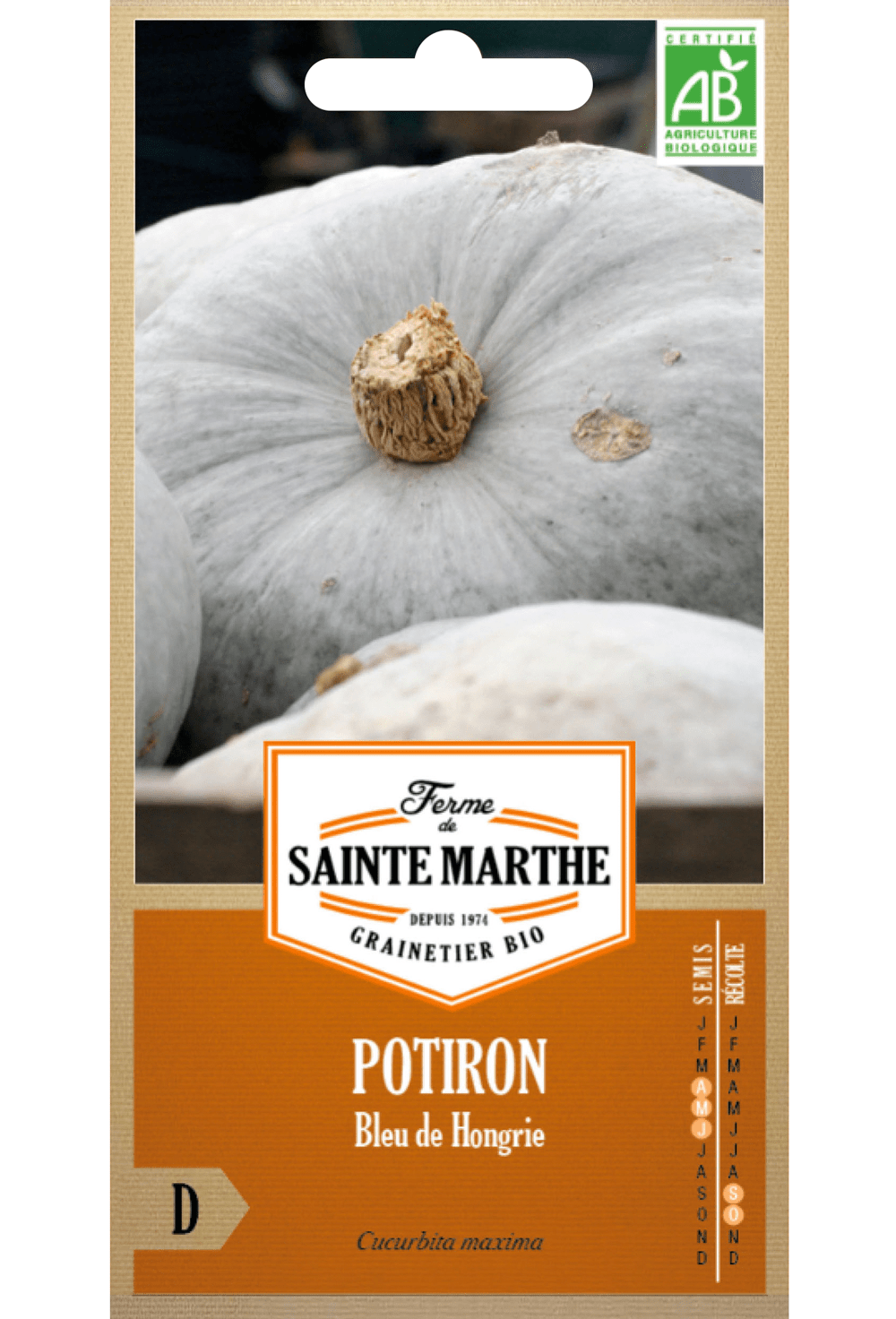 Potiron Bleu de Hongrie