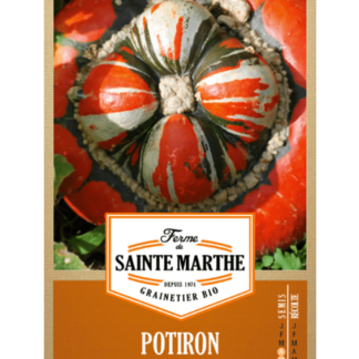 Potiron Petit Bonnet Turc