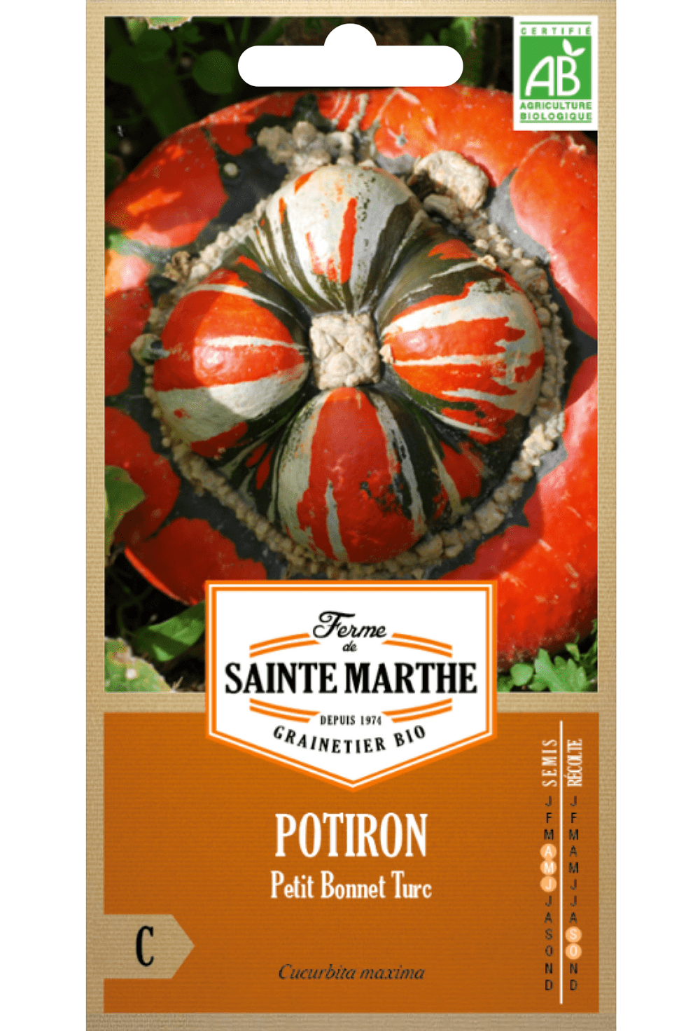 Potiron Petit Bonnet Turc