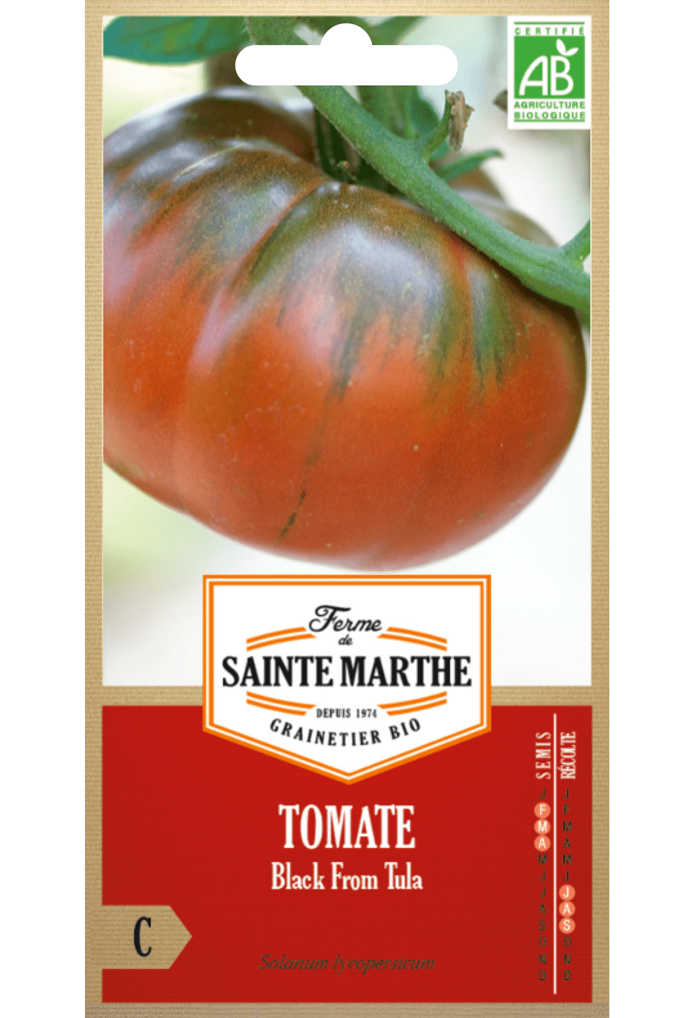 Tomate Black From Tula