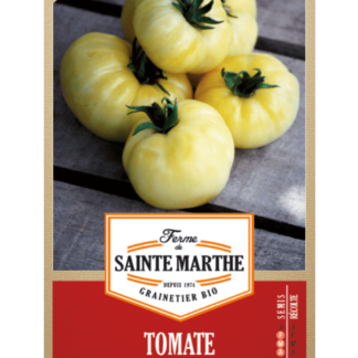 Tomate Beauté Blanche