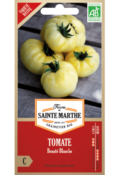 Tomate Beauté Blanche