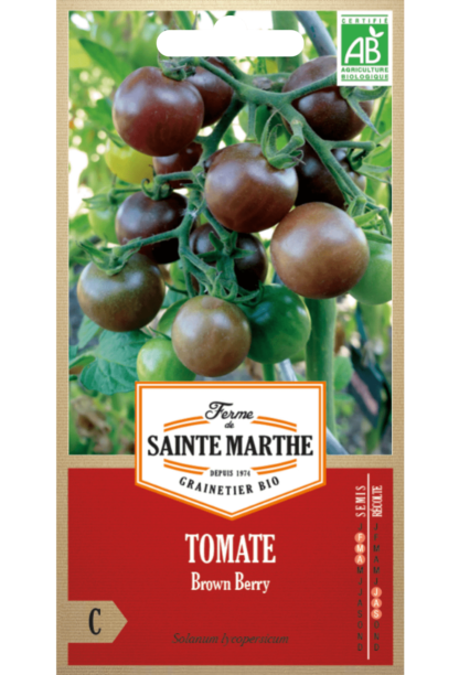 Tomate Brown Berry