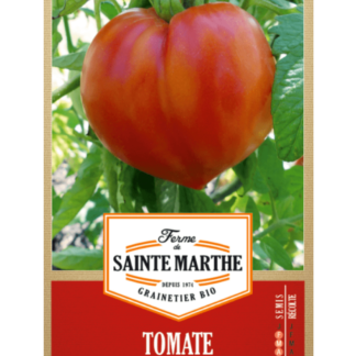 Tomate Cuor di Bue (Coeur de Boeuf)
