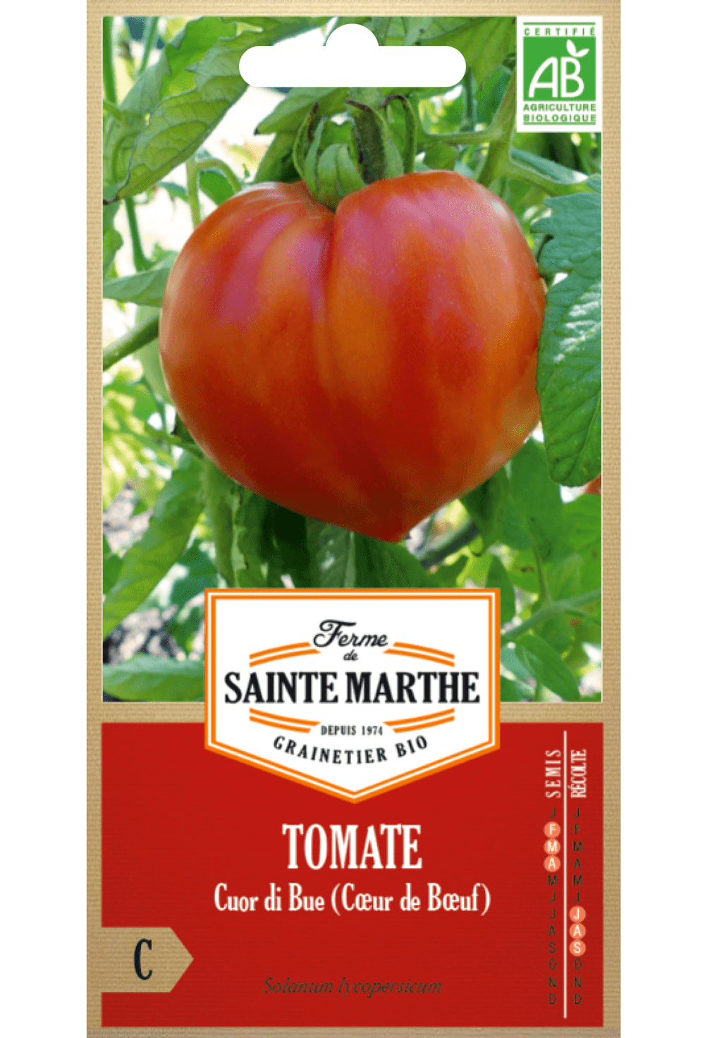 Tomate Cuor di Bue (Coeur de Boeuf)