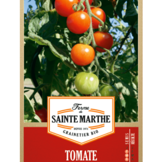 Tomate Gardener's Delight