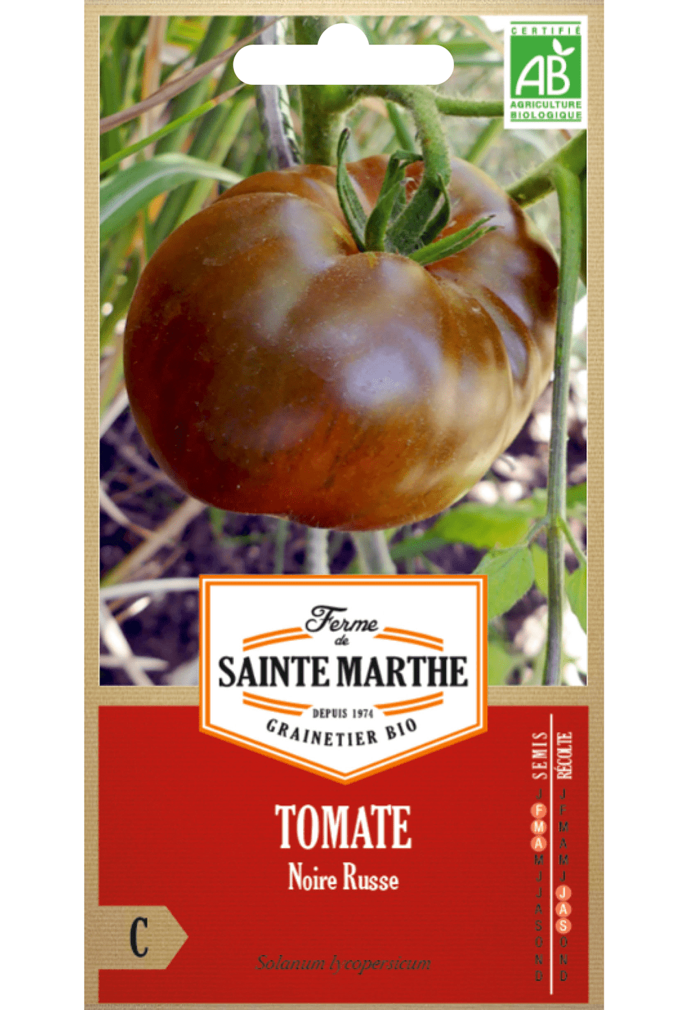 Tomate Noire Russe