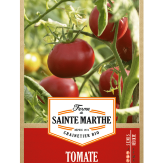 Tomate Rose de Berne