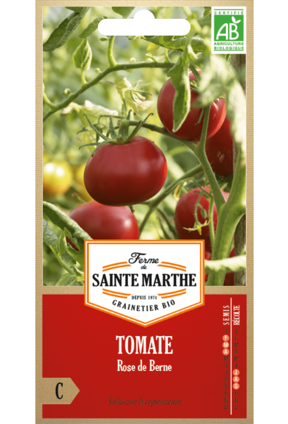 Tomate Rose de Berne